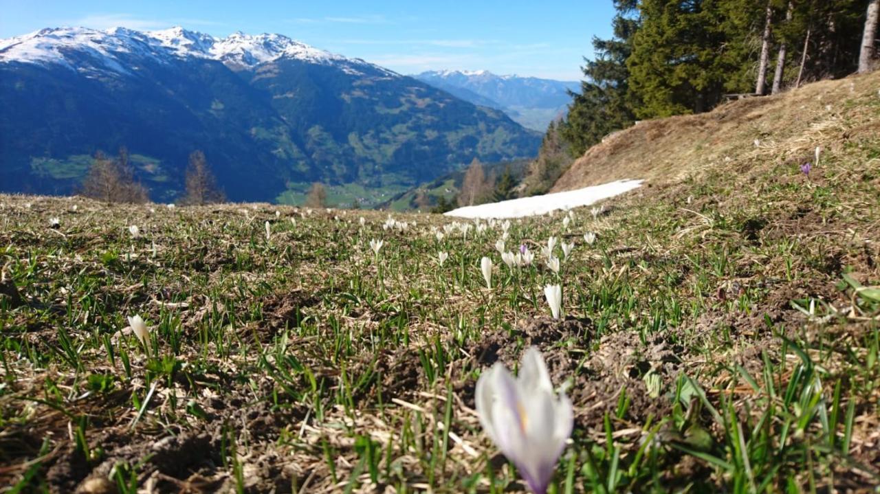 Haus Binder Ried im Zillertal